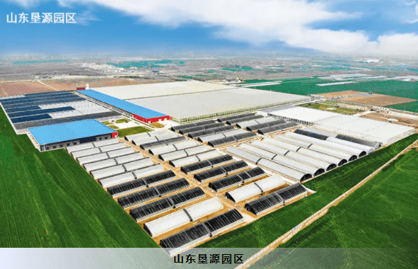建设|【江苏绿港】智能玻璃温室打造现代农业典范！