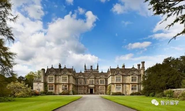 巴斯大学世界排名_珍妮巴斯(2)