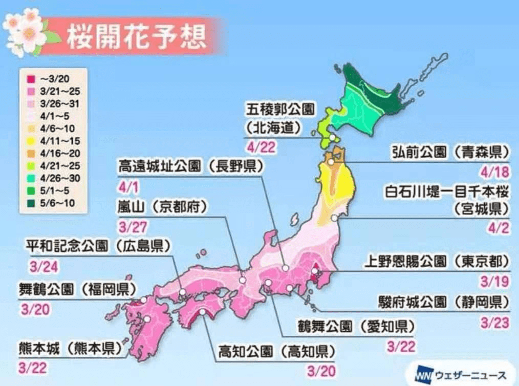 移民港：2021年日本樱花前线预测，送你一份赏樱地图，明年一定去