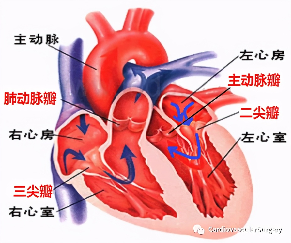 d16e6a0c11c1410c864ed4a65c4a5c2a.jpeg