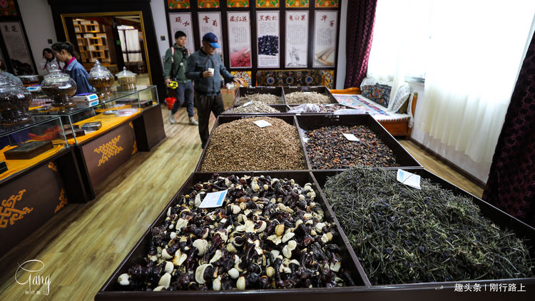 参观藏药展览馆，体验长达千年的藏药历史，是中华民族的瑰宝