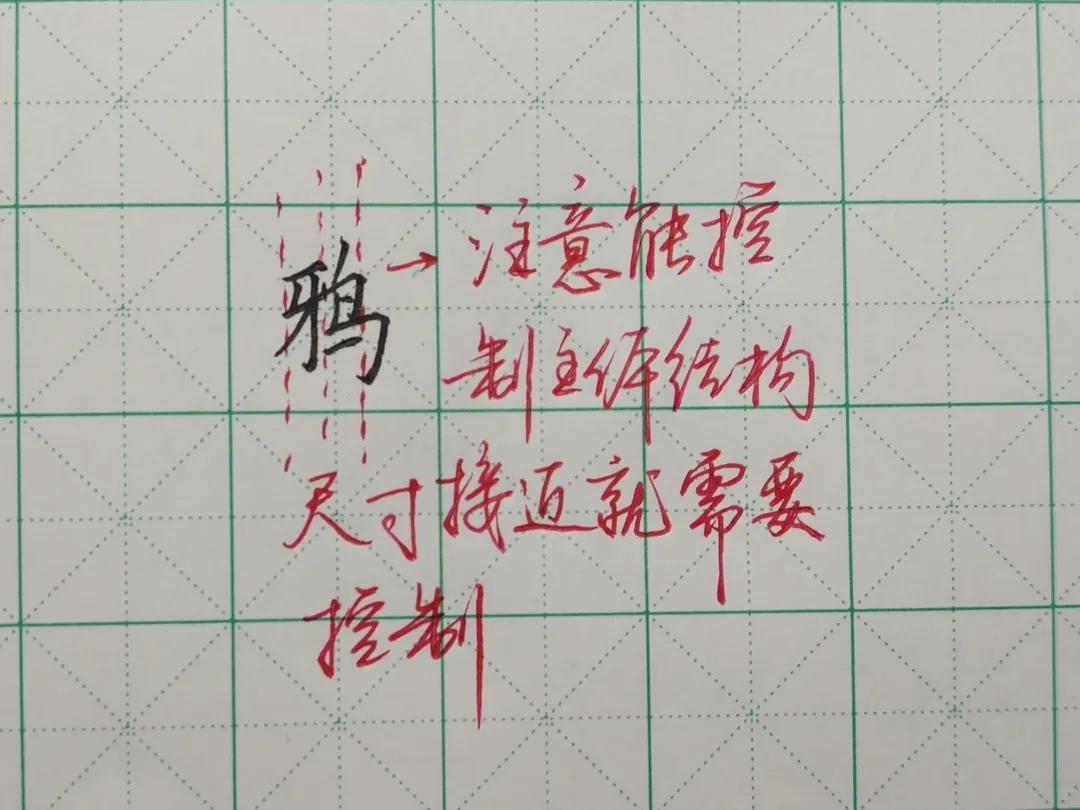 搭的笔顺怎么写_q笔顺笔画顺序怎么写(3)