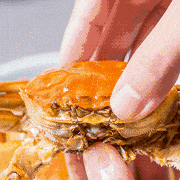 56e9545de68a4a809804c5ea2b529d16.gif