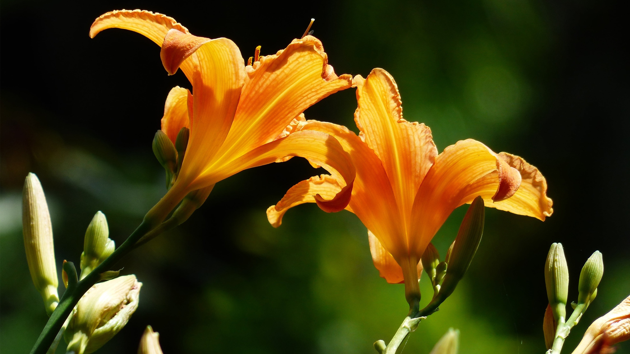 原创3月20日星座运势把握机会展现实力的四大星座