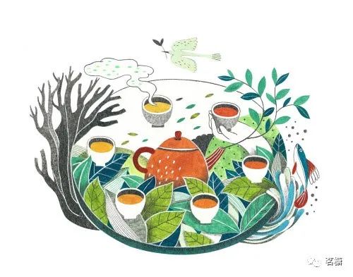 晚上喝茶叶好不好