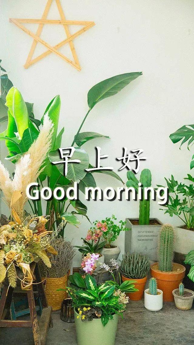 good morning 微信图片