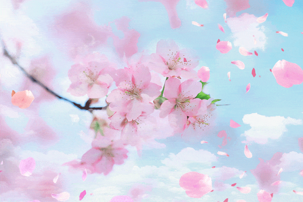春色满园关不住，朵朵樱花出墙来！快来磐安赴一场粉色盛会