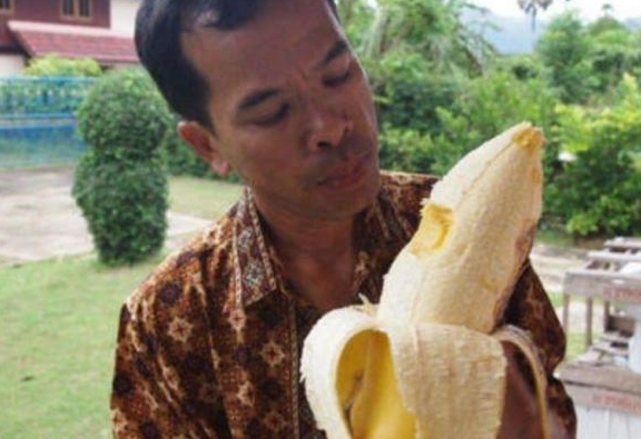 世界上最大的香蕉树：果实比手臂还粗，当地人不只是拿来吃！