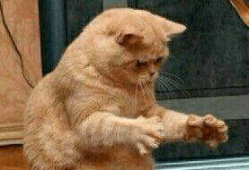 咕咕叫是什么蛙 764fea9dea5e46b0bd131c8ce67a3417.png