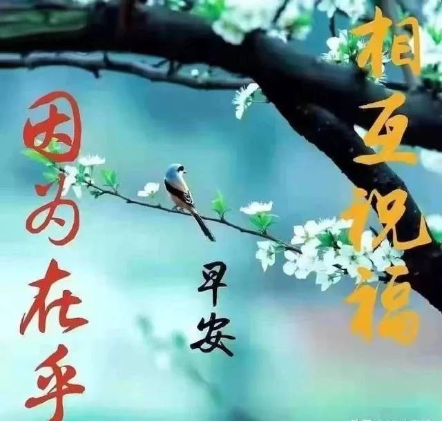 8张漂亮的春天早上好早安图片带字推荐免打字精致走心的春天早安图片