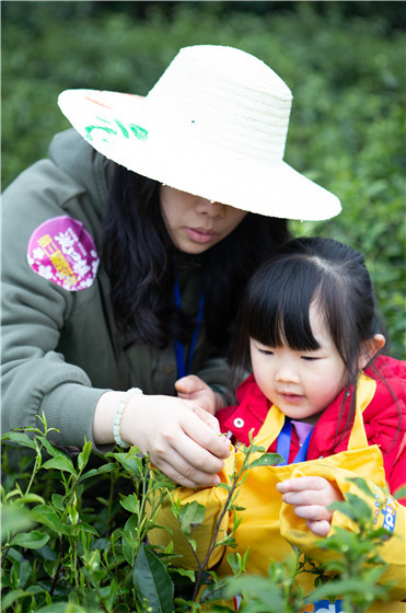赏花种树，采茶做馍，赵公山“春分·采福”亲子农耕体验活动在漩口举行！