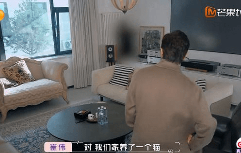 就连新的约会对象崔伟先生,也是超优秀有名的硕士建筑师.