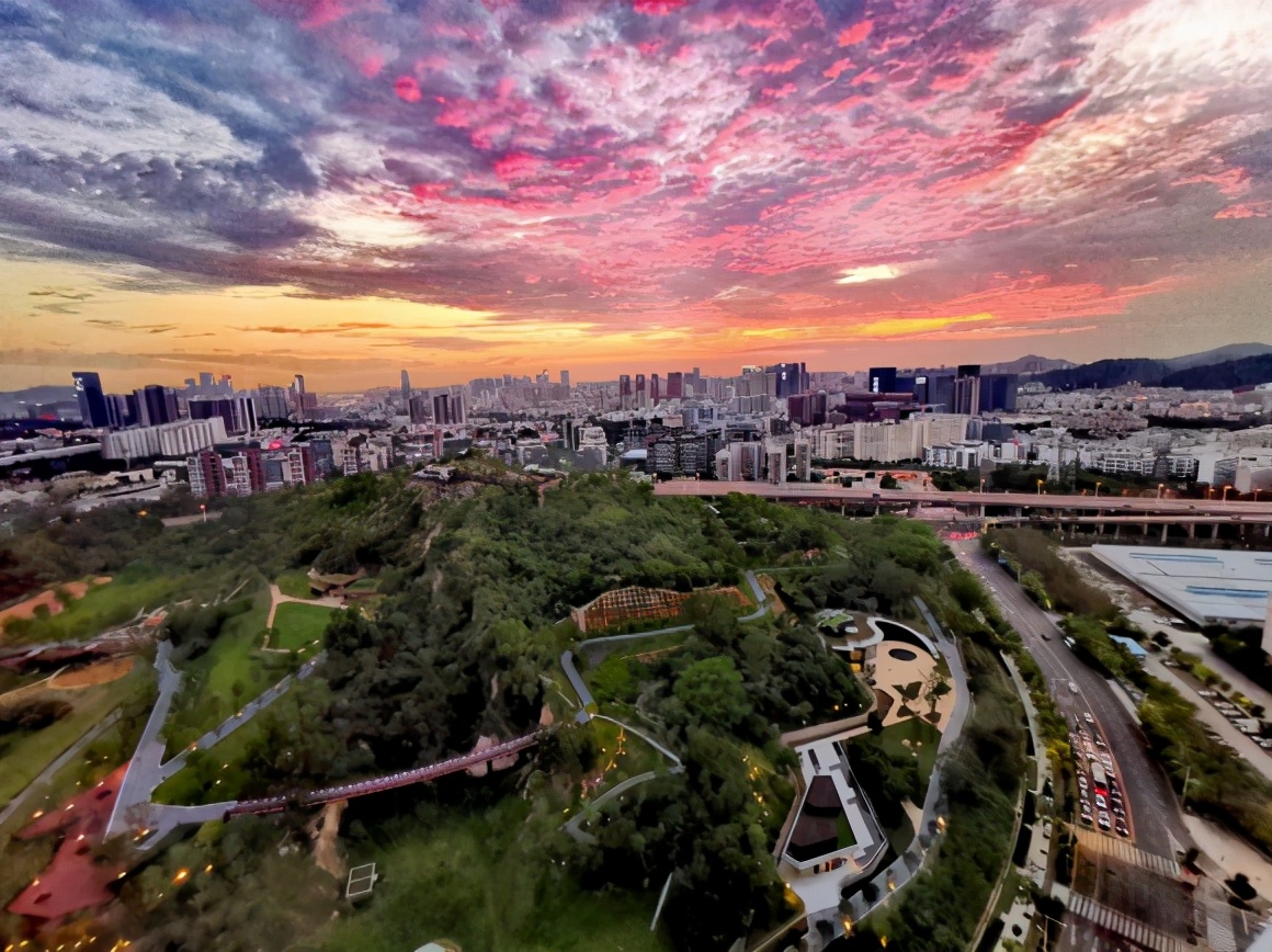 深圳新添20万平网红公园！上俯瞰全城，下回归自然，关键还免费
