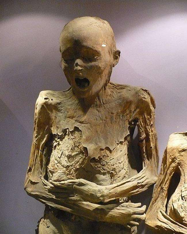 最恐怖的人体博物馆：保存着111具怪异的“尖叫木乃伊”