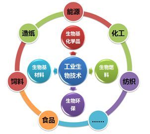 美国生物基认证 生物基认证 DIN-Gepru生物基认证 usda认证 飞凡检测张同学