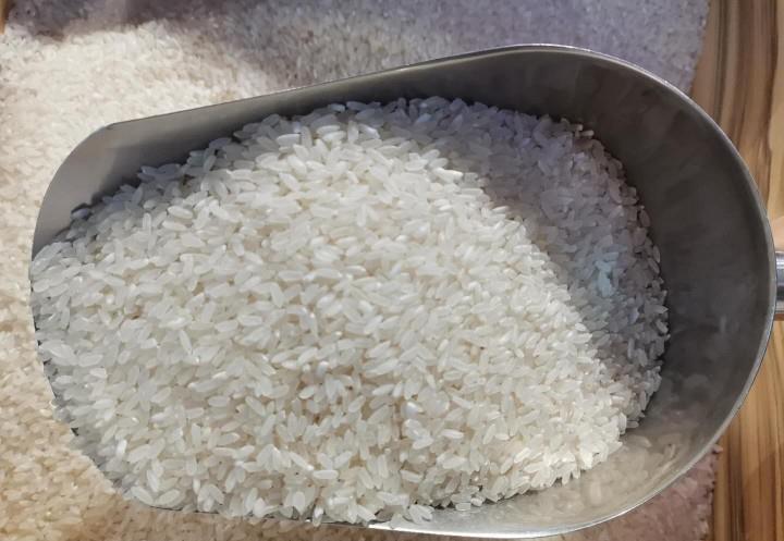 什么大米含蛋白质低 522c56bc82774574ba9224755dfaba91.jpeg