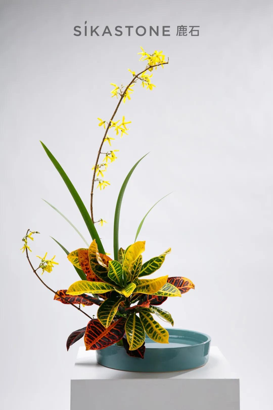 最优雅的插花小原流