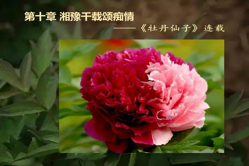611a7b9b521140fb86ccee464fc4405f.jpeg