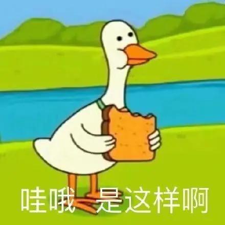 74732830f5b44536bc7345bf47c40413.jpeg