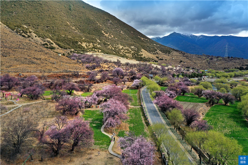 林芝被誉为“桃花第一村”，拍桃花的绝佳圣地，是摄影师的最爱