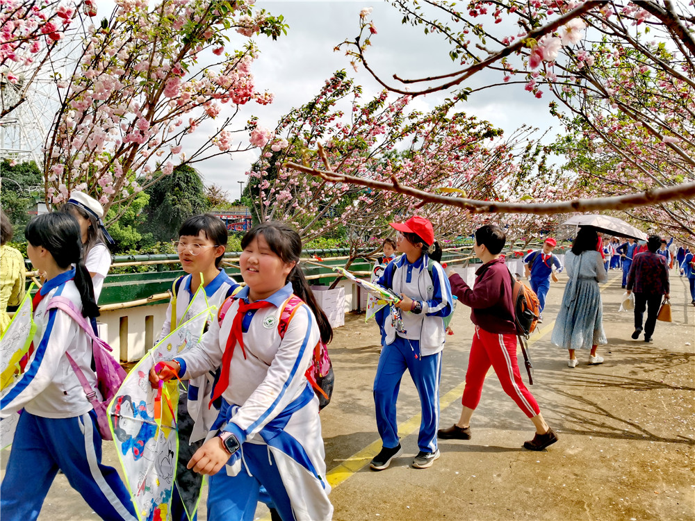 观澜湖大地生态艺术园的樱花节，是不可错过的春日美景，你来了吗
