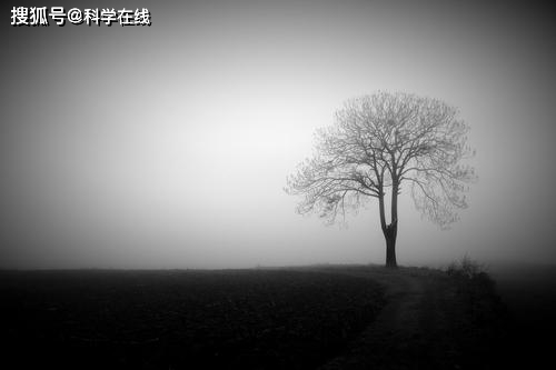 d4dbc025442c4255b1391f50bcf74787.jpeg
