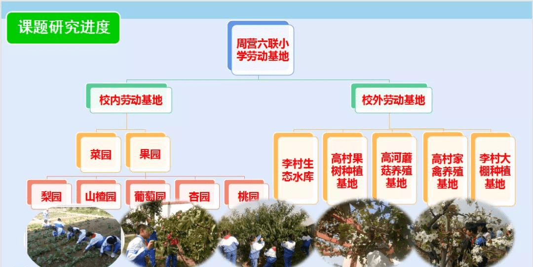 枣庄市周营镇六联小学基于田园生活的劳动教育课程开发与实施研究