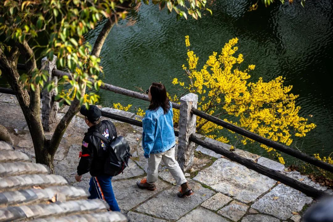 美的干净 这个古城的春天 百花与城相衬 现在去刚刚好 台儿庄