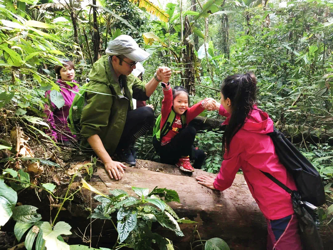 假期带孩子来勐远：穿越原始雨林，赴一场瑶寨的神秘约会