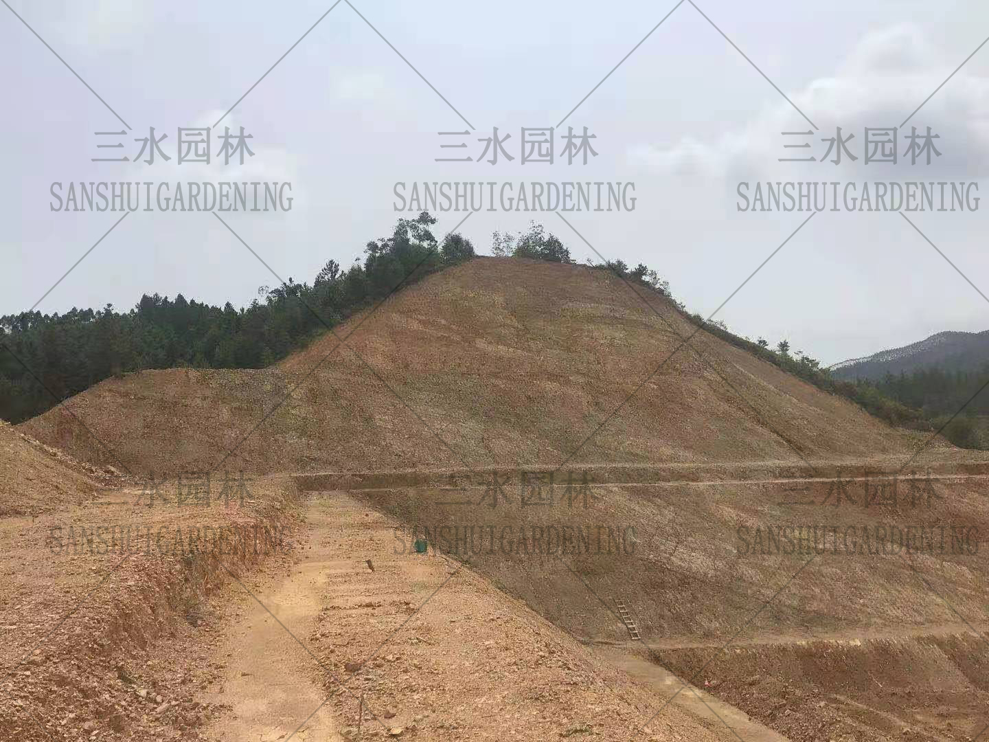 江西邊坡綠化客土噴播三維網植草人字型骨架植草方法_施工