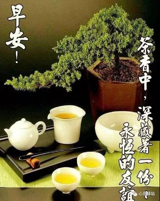 早上温馨暖心问候语  婴幼儿早上好图片大全集图片