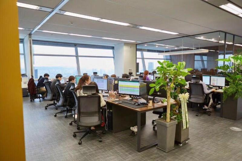 河南烨磊网络科技:拼多多产品结构知识分享