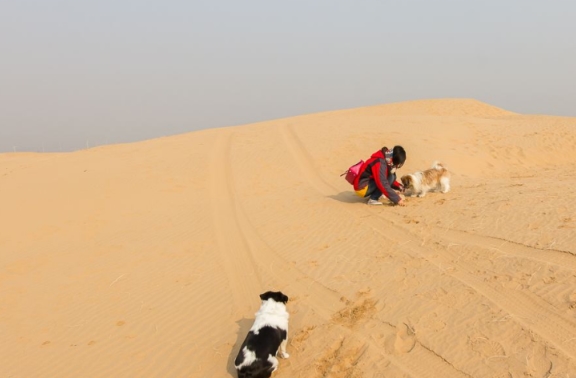 中国治理最“成功”的沙漠：花费15年时间，为何要留下一公里？