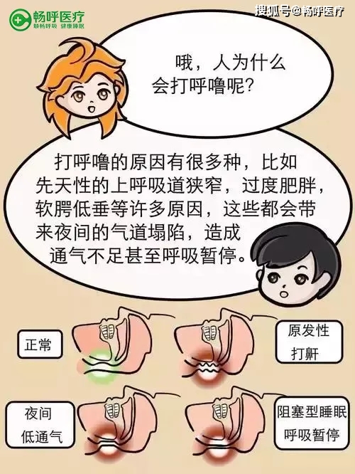 怎么可以不打呼噜睡觉 493e91b93ea24cbeb58297fa05898d32.jpeg
