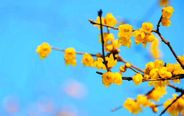 3月27日黄历新说 周六农历二月十五 运势早知道 是非