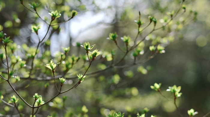 一线消费上涨还是下跌，最近白电企业忙什么市场又怎样？-家电圈官网