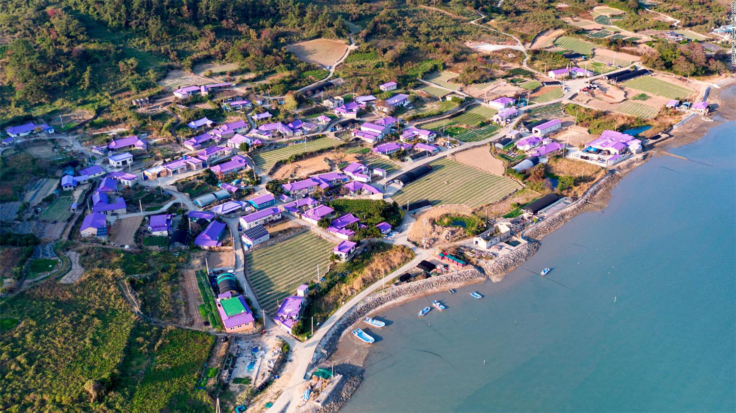 对抗孤独！韩国小渔村全村上下染成紫色，连大妈里外都穿紫色