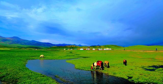 美丽的新疆，一个既辽阔又富饶的地方！