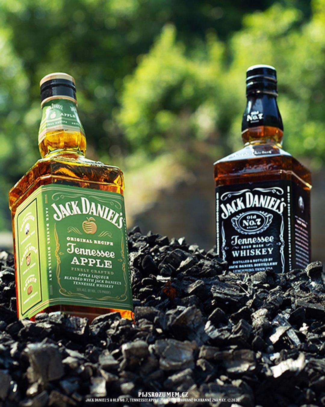 新品上市 | 分享一瓶女生专属威士忌