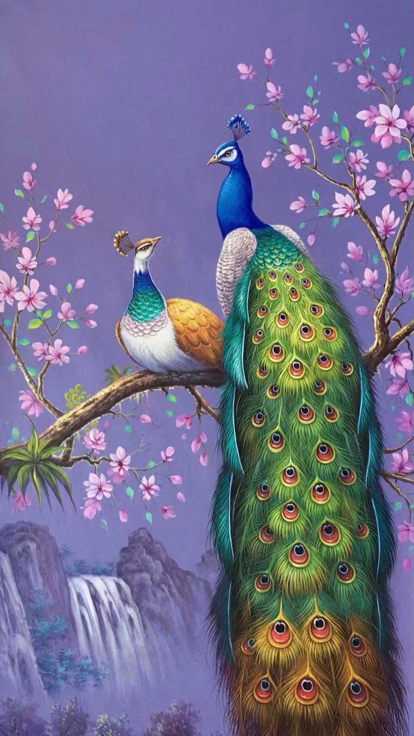 孔雀高清手机壁纸 图片搜索