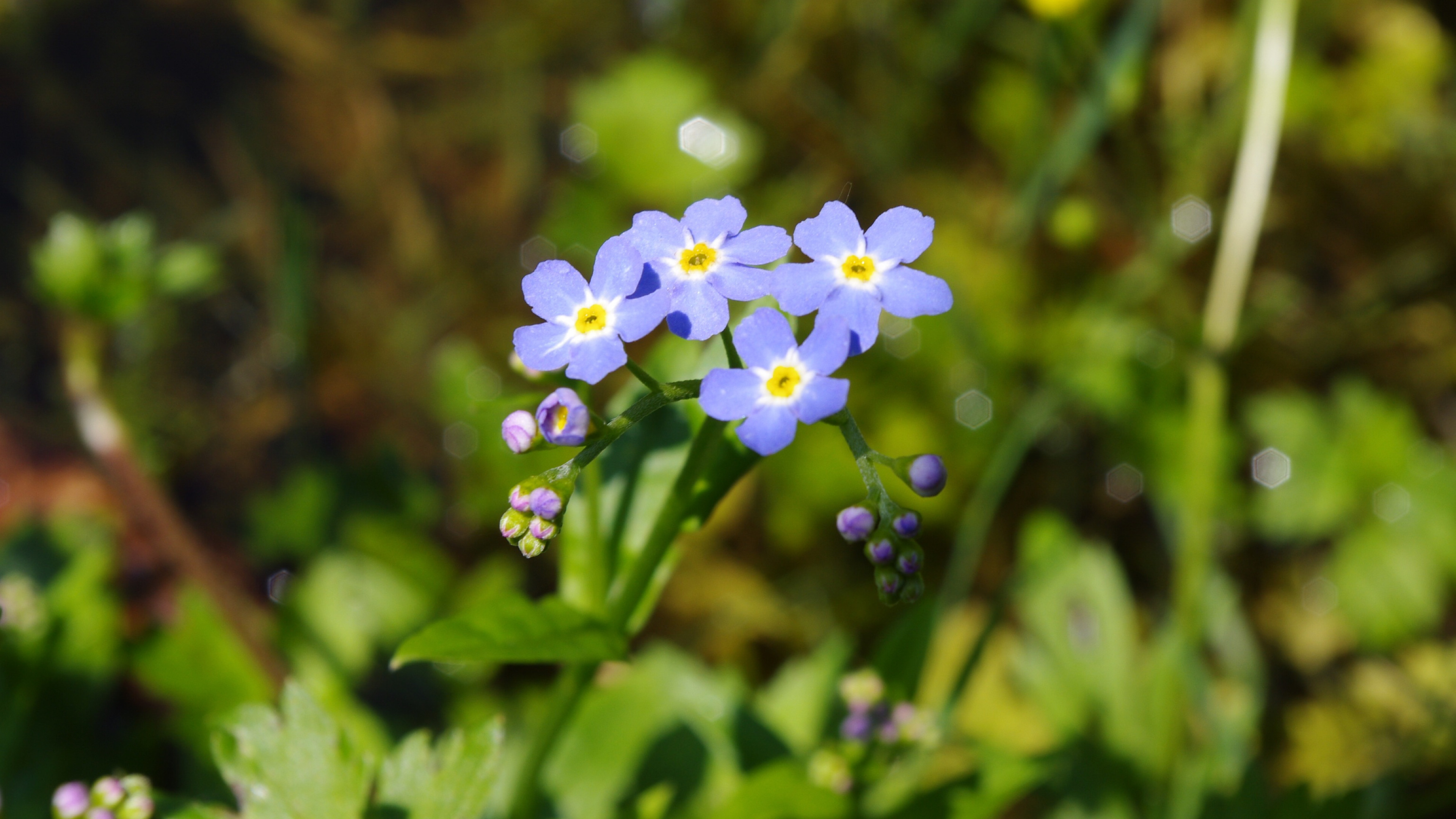 3月27日星座运势 注重细节 思虑周全的四大星座 感情