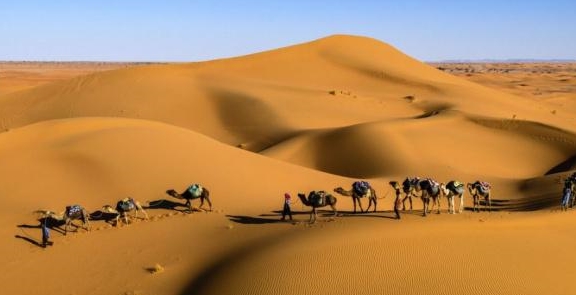 为什么沙漠里迷路不能直走？越直可能越危险，居然是这三个原因！