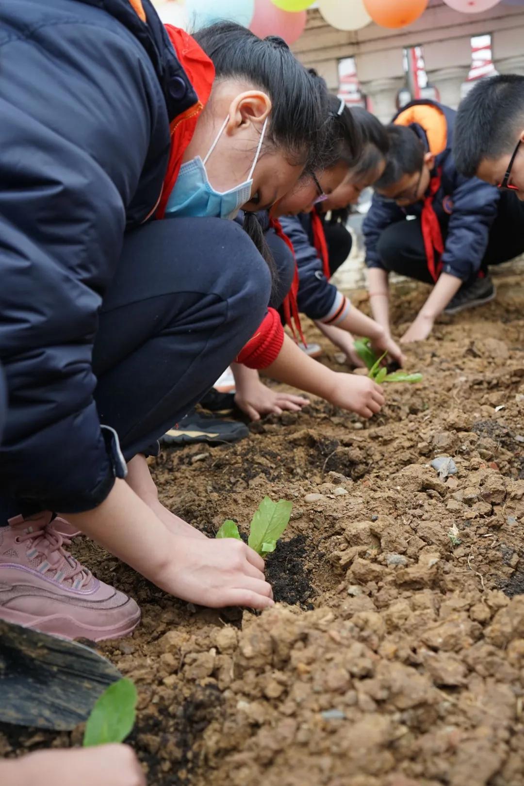 驿心向阳播种梦想驿都植树节劳动教育基地建成