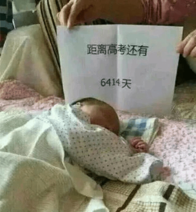 2b31314bd6f540169e9eda7a1bbaa979.png