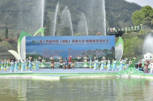 第十四届中国 国际 茶商大会 松阳香茶茶叶节今天开幕 发展