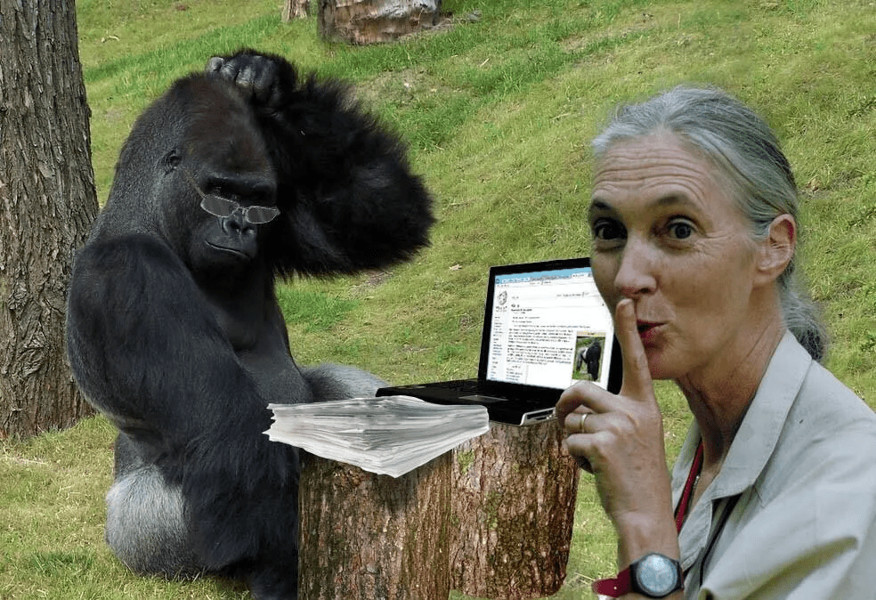猩猩和美女许多年未见，再次重逢时出现这一幕，网友：太感动！