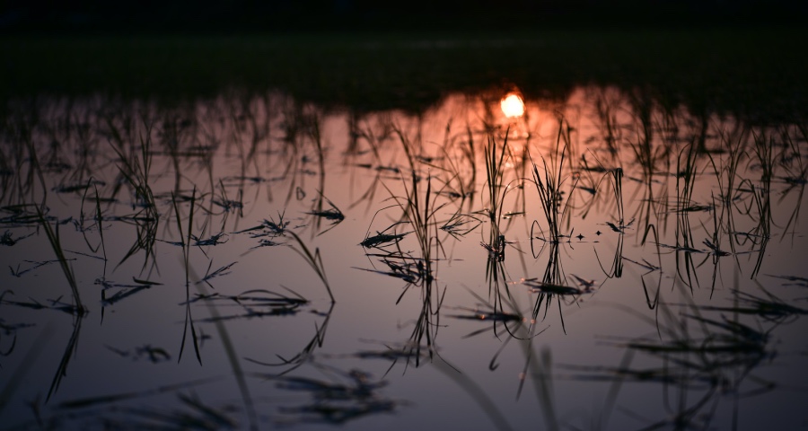 成套家电今年并不是经销商的一门好生意-家电圈官网