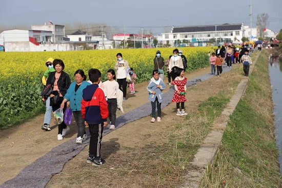 宿州市埇桥区各乡镇人口排名_宿州市埇桥区地图