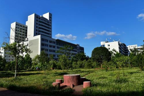 权威排行榜_2021年中国大学排行榜权威发布,前100名