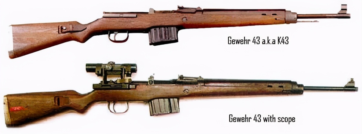 德国半自动步枪E25图片